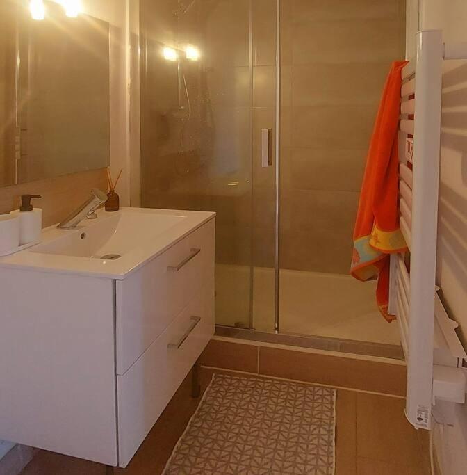 Zenith - Cartoucherie Apartment ตูลูส ภายนอก รูปภาพ